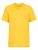 F140K_Sunflower
