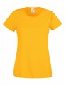 F288N_Sunflower