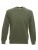 F304_Classic-Olive