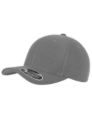 FX110P_Silver