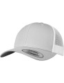 FX6606T_Silver_White