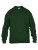G18000K_Forest-Green