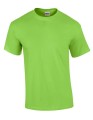 G2000_Lime