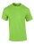 G2000_Lime