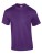 G2000_Purple