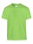 G5000K_Lime