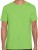 G64000_Lime