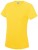 JC005_Sun-Yellow