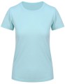 JC005_Mint
