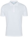 JC021_Arctic-White