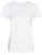 JC025_Arctic-White