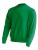 JHK320_Kelly-Green