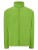 JHK800_Lime