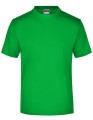 JN001_Fern-Green