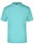 JN001_Mint