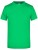 JN002_Fern-Green