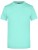 JN002_Mint