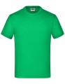 JN019_Fern-Green