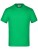 JN019_Fern-Green