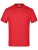 JN019_Tomato