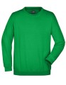JN040_Fern-Green