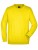 JN040_Sun-Yellow