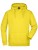 JN047_Sun-Yellow