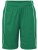 JN387K_Green_White