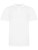 JP100_White