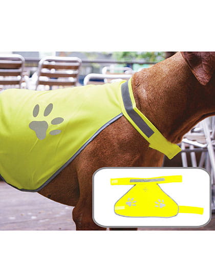 KX104_Signal-Yellow