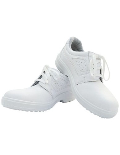 KY083_White