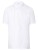 KY122_White