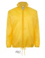 L01618_Gold