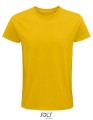 L03565_Gold