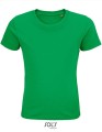 L03578_Kelly-Green