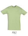 L150_Sage-Green