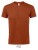 L190_Terracotta