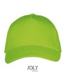 LC00594_Lime