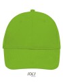 LC88100_Lime