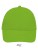 LC88100_Lime