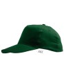 LC88110_Bottle-Green
