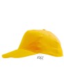 LC88110_Gold