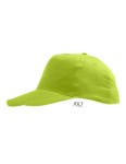LC88111_Apple-Green