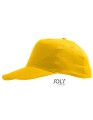 LC88111_Gold