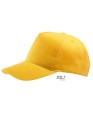 LC88119_Gold