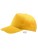 LC88119_Gold
