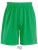 LT01221_Bright-Green