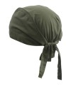 MB041_Olive