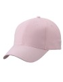 MB6118_Rose