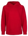 NE13101_Red